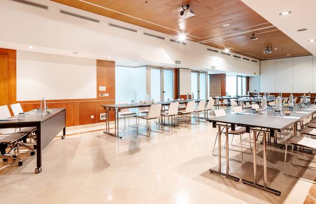 Tribuna + Consejo Hotel ILUNION Málaga Málaga